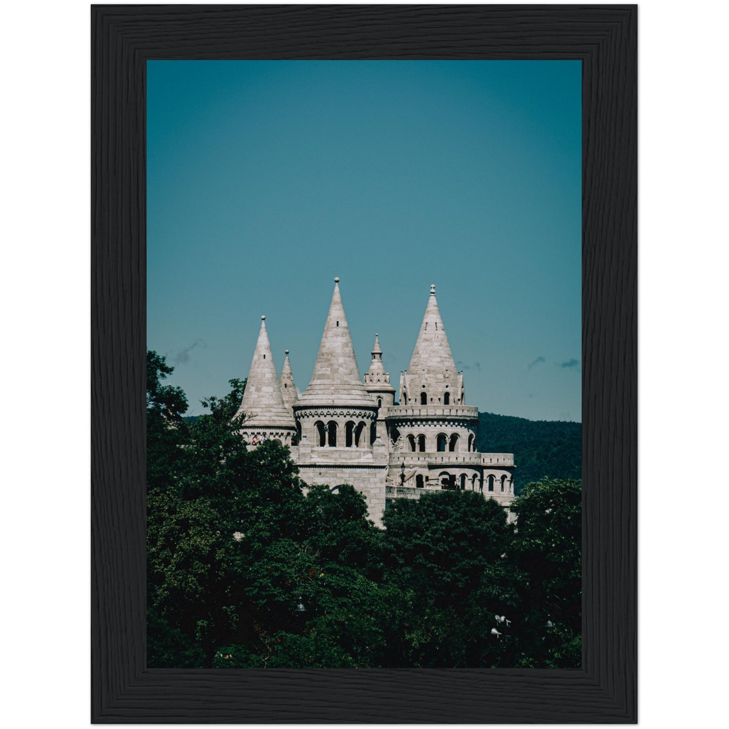 Le château dans le ciel